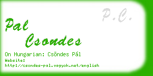 pal csondes business card